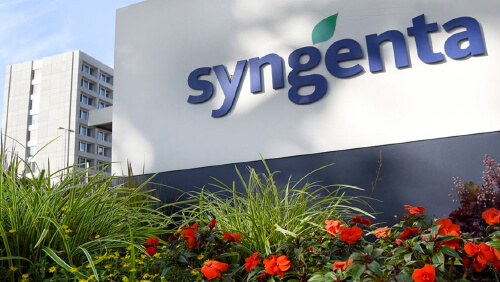 Syngenta Argentina